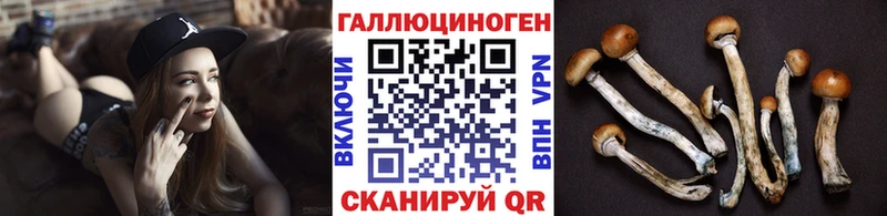 дарнет шоп Кукмор Галлюциногенные грибы Magic Shrooms